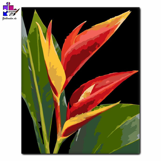 Vibrierende Helikonie Blumenlieferung | Malen nach Zahlen-Zahlmaler.de