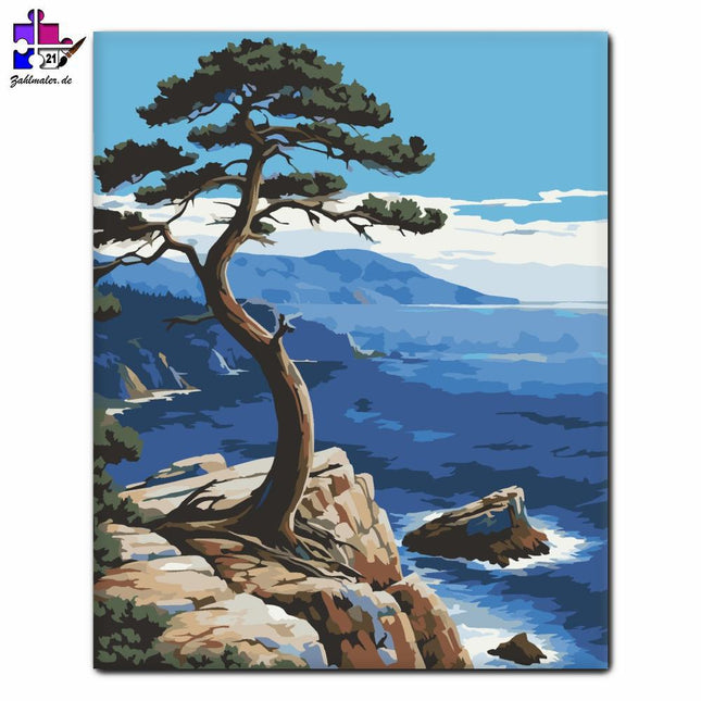 Seaside Pine an der Felsenküste | Malen nach Zahlen-Zahlmaler.de
