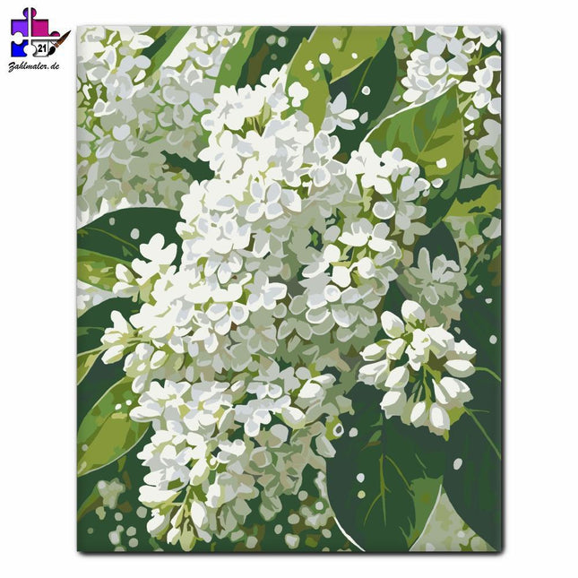 Tautropfen Weiß Orgel | Malen nach Zahlen-Zahlmaler.de