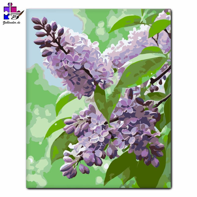 Tautropfen Lila Orgona | Malen nach Zahlen-Zahlmaler.de