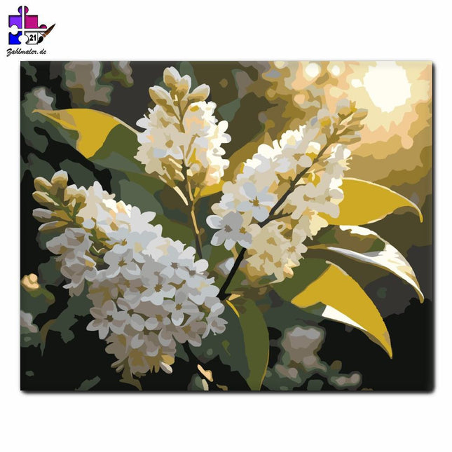 Weißer Orgelzweig bei Sonnenuntergang | Malen nach Zahlen-Zahlmaler.de