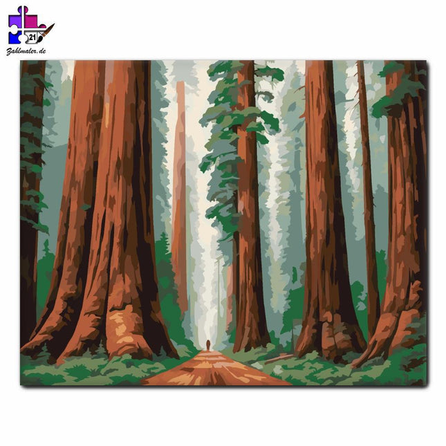 Riesiger Wald aus Waldkiefern | Malen nach Zahlen-Zahlmaler.de
