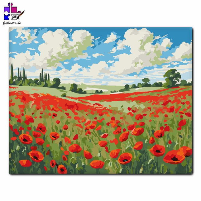 Mohnfeld unter bewölktem Himmel | Malen nach Zahlen-Zahlmaler.de