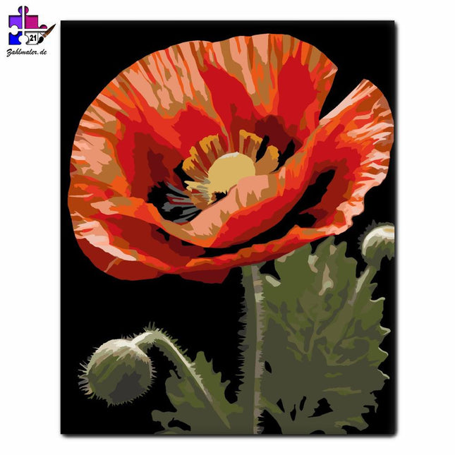 Rote Mohnblumen baden im Sonnenschein | Malen nach Zahlen-Zahlmaler.de