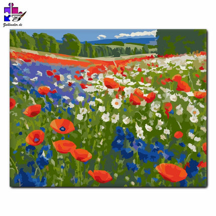 Mohnfeld mit blauen und weißen Wildblumen | Malen nach Zahlen-Zahlmaler.de