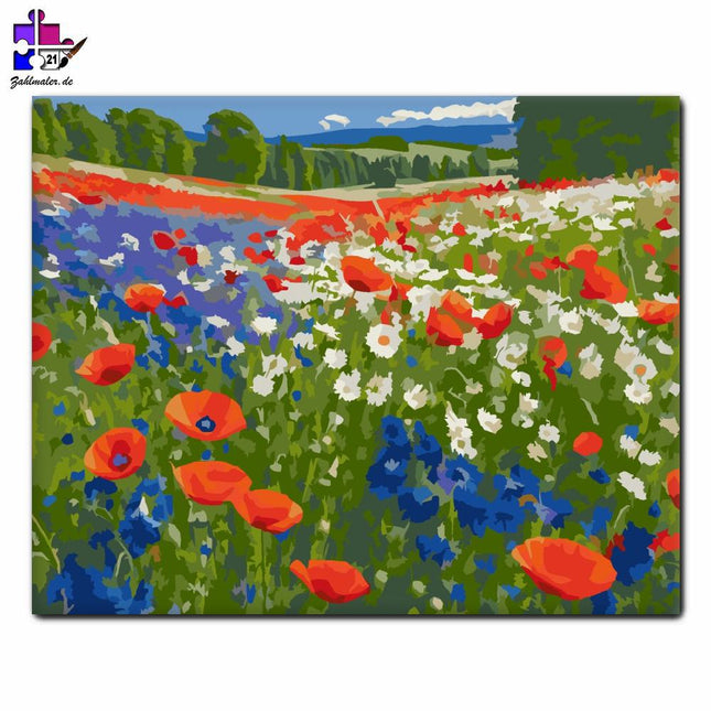 Mohnfeld mit blauen und weißen Wildblumen | Malen nach Zahlen-Zahlmaler.de