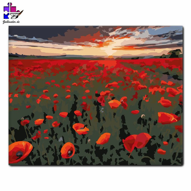 Mohnfeld im Sonnenuntergang | Malen nach Zahlen-Zahlmaler.de