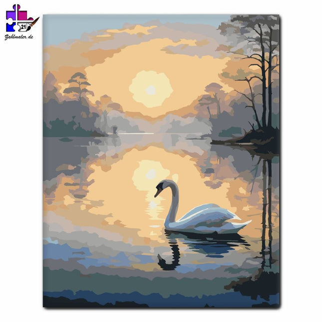 Morgenschwan auf dem See | Malen nach Zahlen-Zahlmaler.de