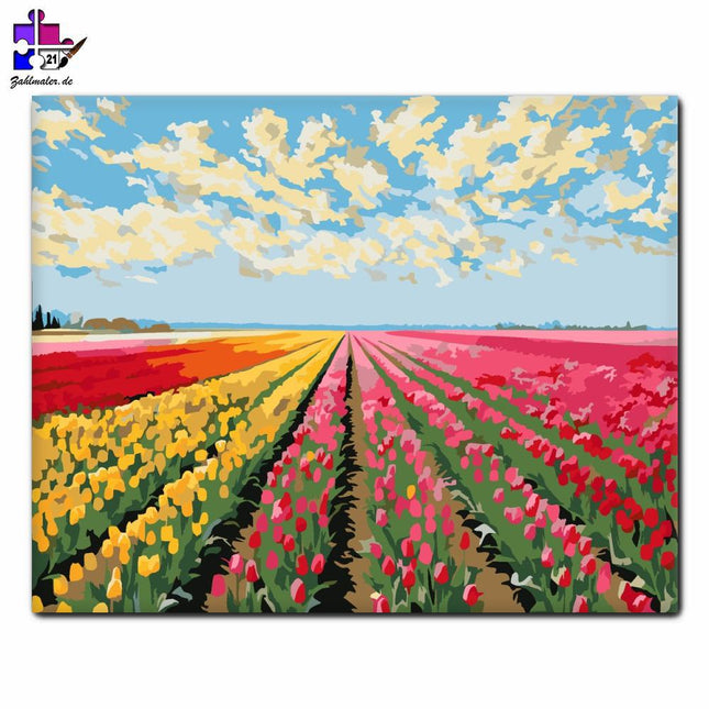 Tulpenfeld | Malen nach Zahlen-Zahlmaler.de