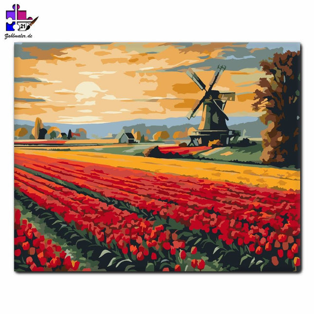 Sonnenaufgang auf dem Tulpenfeld mit Windmühle | Malen nach Zahlen-Zahlmaler.de