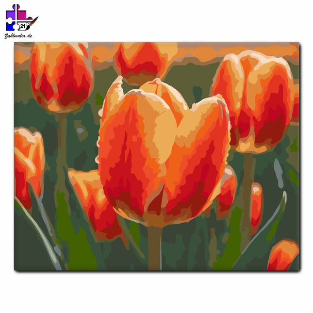 Tautropfen Orange Tulpen | Malen nach Zahlen-Zahlmaler.de