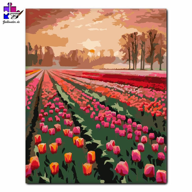 Sonnenaufgang über dem Tulpenfeld | Malen nach Zahlen-Zahlmaler.de