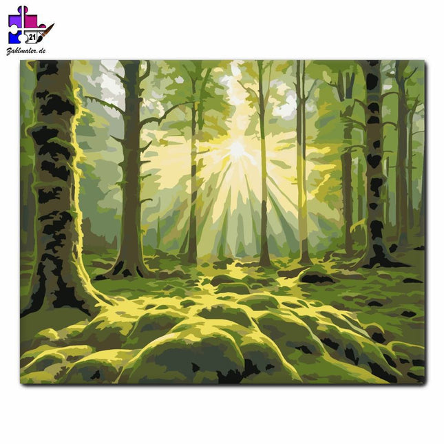 Sonnenaufgang im tiefen Wald | Malen nach Zahlen-Zahlmaler.de