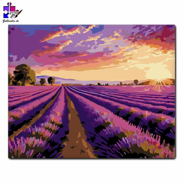 Lavendelfeld in der Abenddämmerung | Malen nach Zahlen-Zahlmaler.de