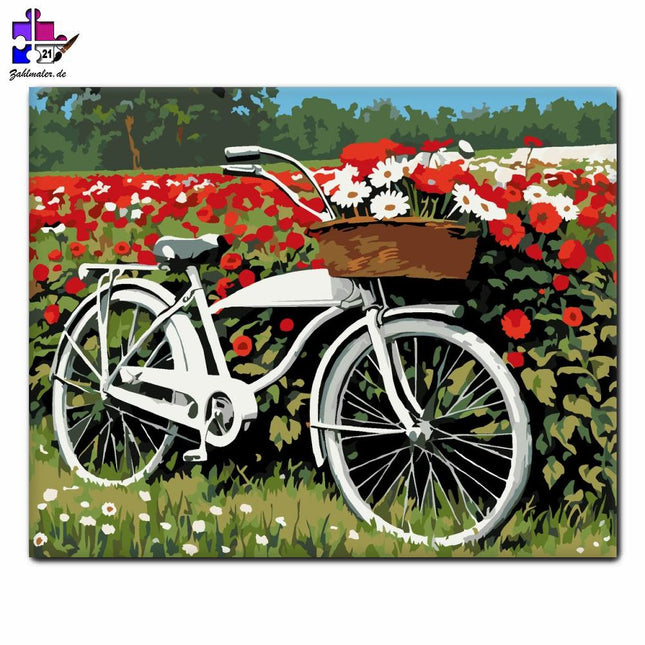 Flowery Bicycle Field | Malen nach Zahlen-Zahlmaler.de