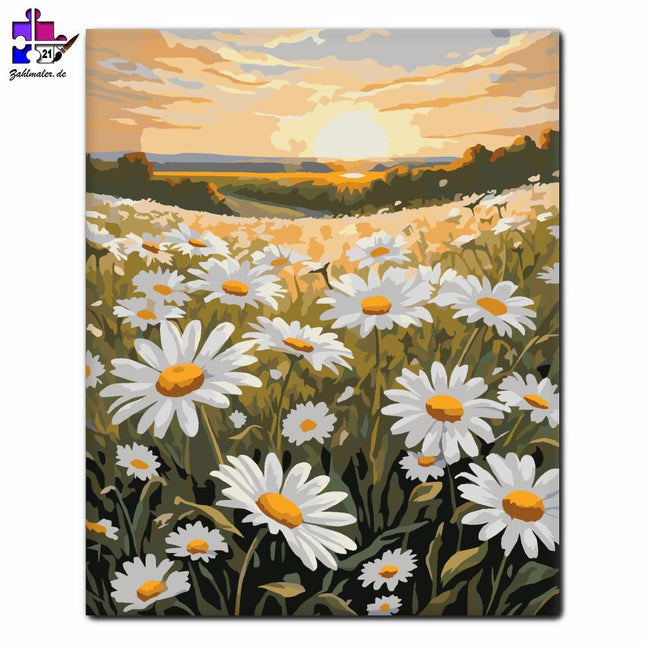 Sonnenuntergang und Feld der Margareten | Malen nach Zahlen-Zahlmaler.de
