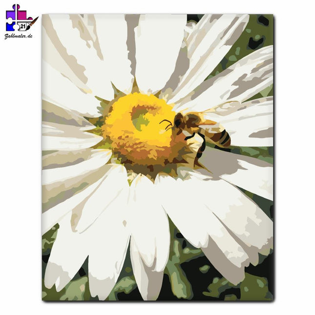 Bee und Margaret aus der Nähe | Malen nach Zahlen-Zahlmaler.de