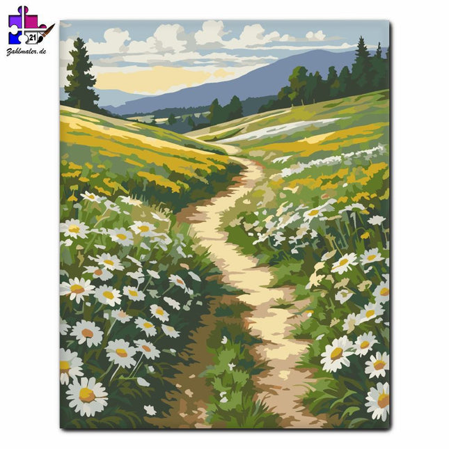 Gänseblümchen am Hang | Malen nach Zahlen-Zahlmaler.de