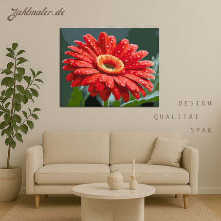 Tautropfen Rote Gerbera | Malen nach Zahlen-Zahlmaler.de
