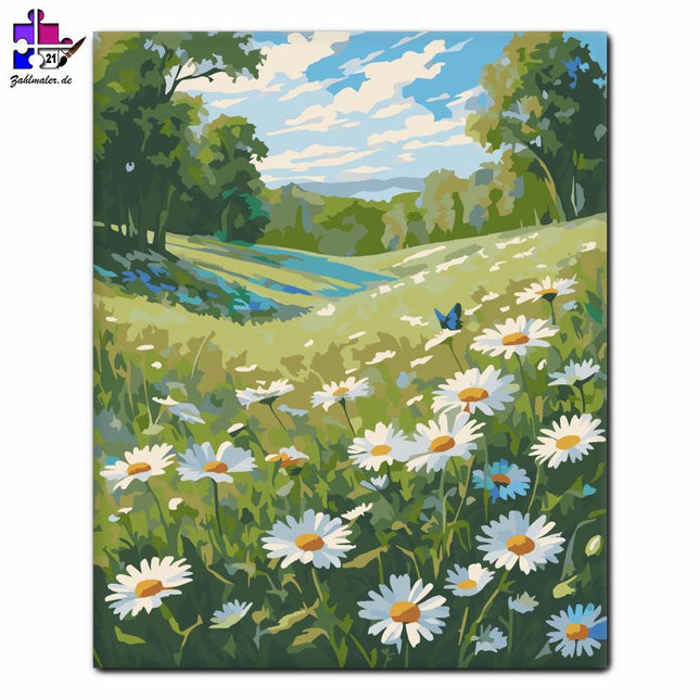 Wildblumen-Gänseblümchen-Feld | Malen nach Zahlen-Zahlmaler.de