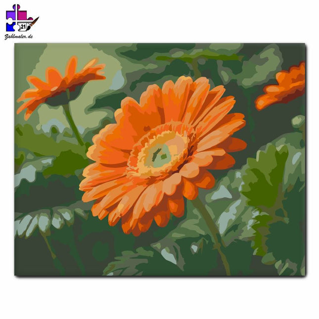 Orange Gerbera mit Marienkäfer | Malen nach Zahlen-Zahlmaler.de