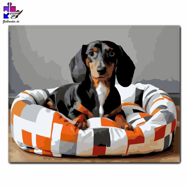 Dackel auf dem modern gemusterten Bett | Malen nach Zahlen-Zahlmaler.de