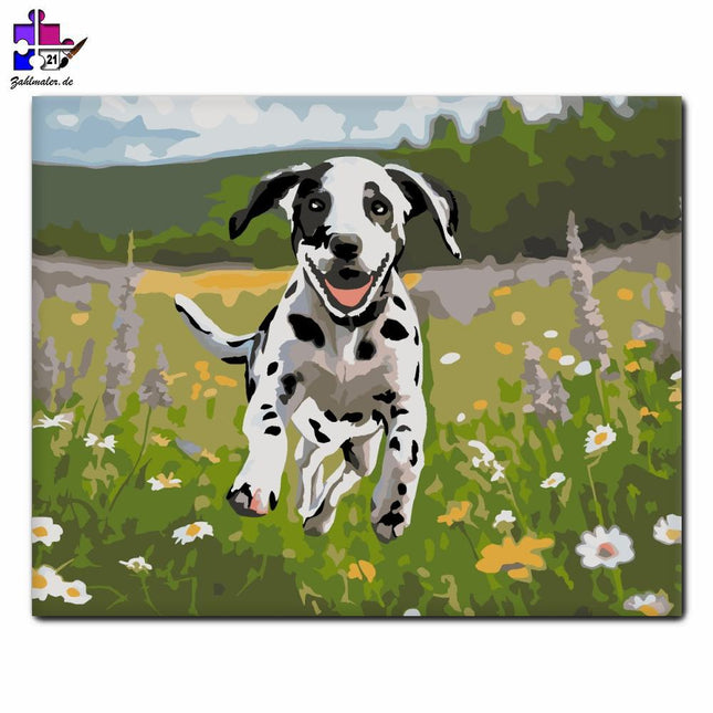 Glücklicher Dalmatiner-Welpe im Wildblumenfeld | Malen nach Zahlen-Zahlmaler.de