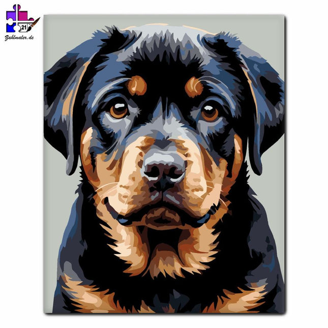 Rottweiler Welpe Nahaufnahme | Malen nach Zahlen-Zahlmaler.de