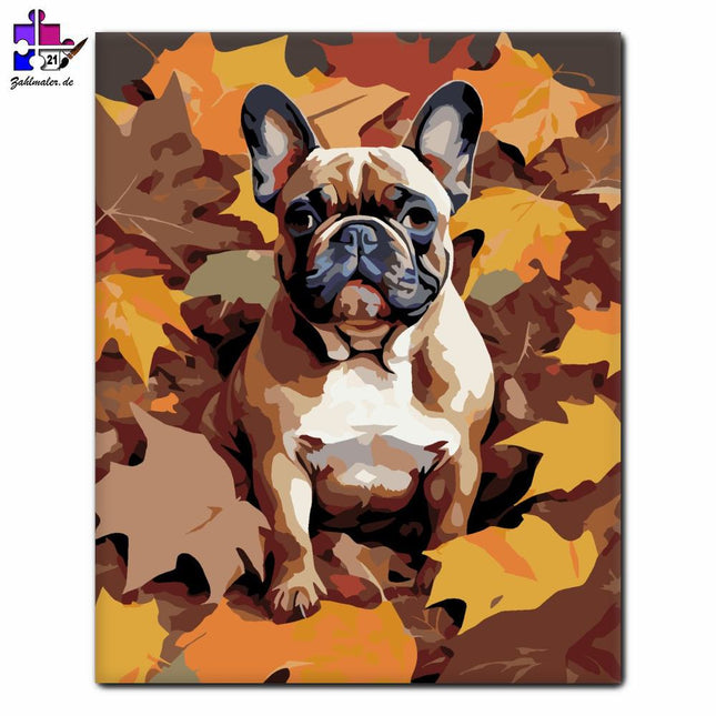 Französische Bulldogge zwischen Herbstblättern | Malen nach Zahlen-Zahlmaler.de