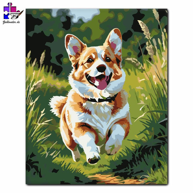 Corgi läuft auf dem Feld | Malen nach Zahlen-Zahlmaler.de