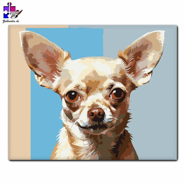 Chihuahua Porträt | Malen nach Zahlen-Zahlmaler.de