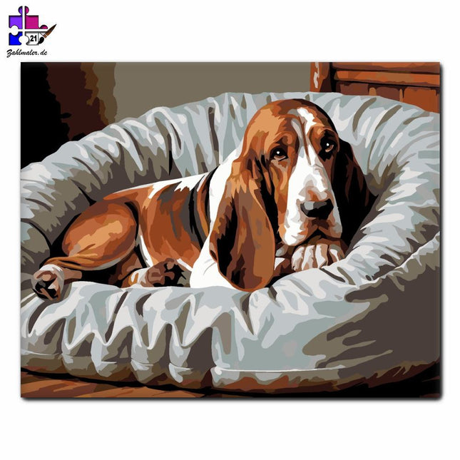 Schlafender Basset Hound Komfortables Bett | Malen nach Zahlen-Zahlmaler.de
