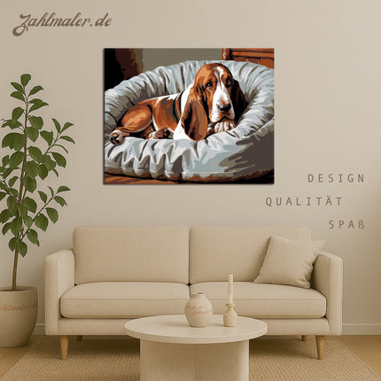 Schlafender Basset Hound Komfortables Bett | Malen nach Zahlen-Zahlmaler.de
