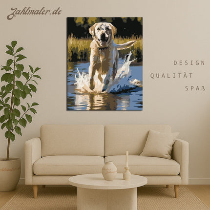 Labrador Retriever im See | Malen nach Zahlen-Zahlmaler.de