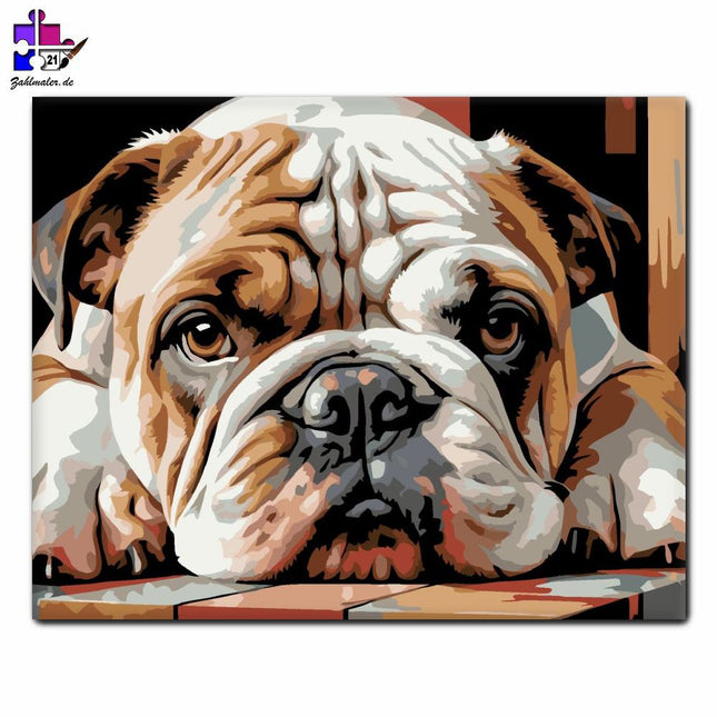 Bulldoggenwelpe ruhend Nahaufnahme | Malen nach Zahlen-Zahlmaler.de