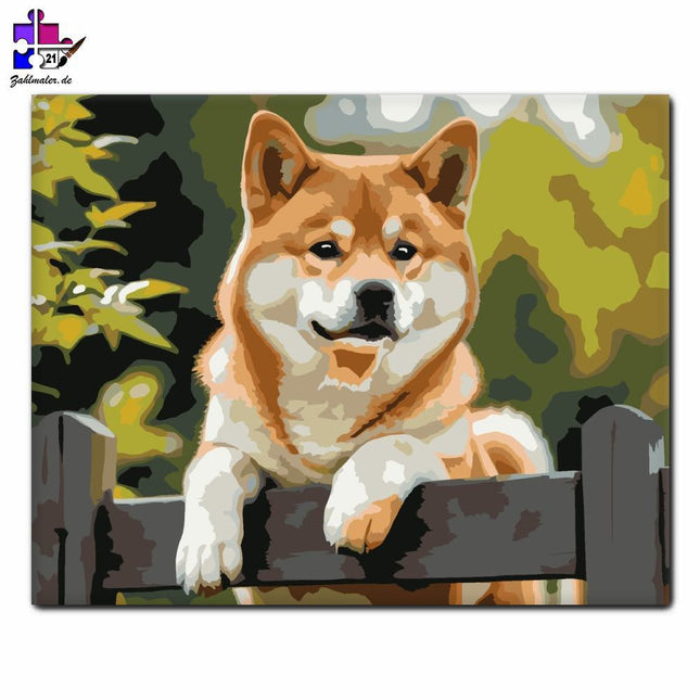 Shiba Inu auf dem Zaun | Malen nach Zahlen-Zahlmaler.de