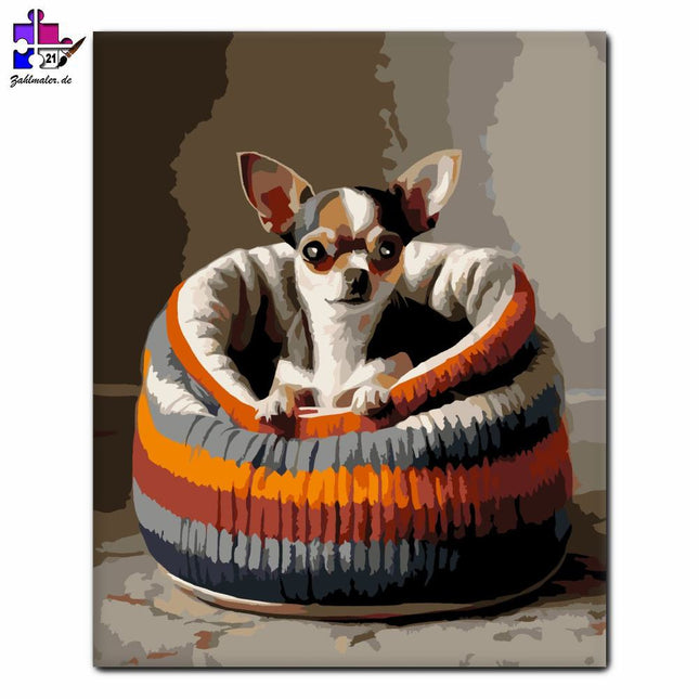Chihuahua im gestrickten Pullover | Malen nach Zahlen-Zahlmaler.de