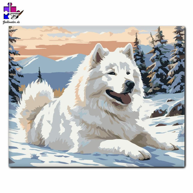 Samojeden auf dem verschneiten See | Malen nach Zahlen-Zahlmaler.de