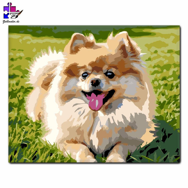 Pommerscher Schlumpfhahn auf der sonnigen Wiese | Malen nach Zahlen-Zahlmaler.de