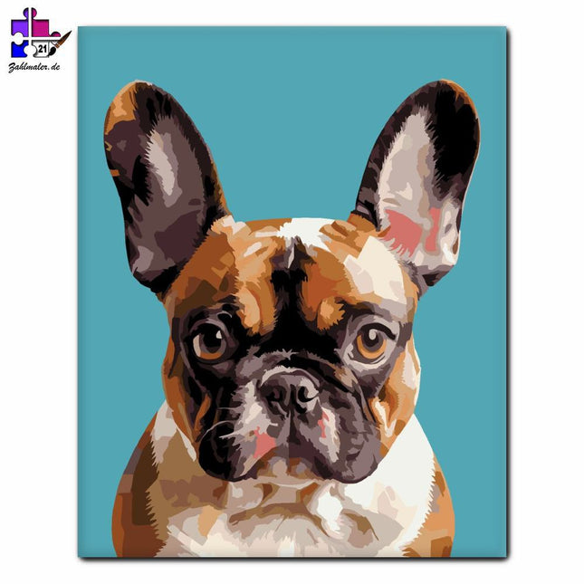 Französische Bulldogge Close Portrait | Malen nach Zahlen-Zahlmaler.de