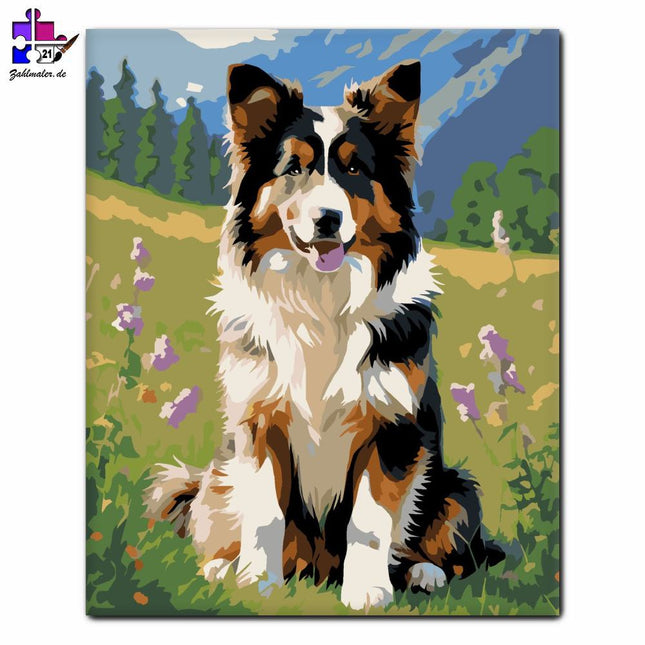 Collie-Welpe im Wildblumenfeld | Malen nach Zahlen-Zahlmaler.de