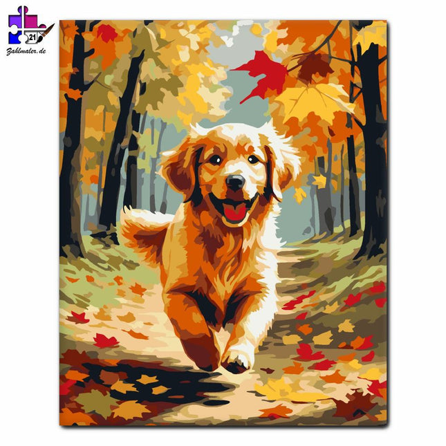 Golden Retriever Welpe im Herbstwald | Malen nach Zahlen-Zahlmaler.de