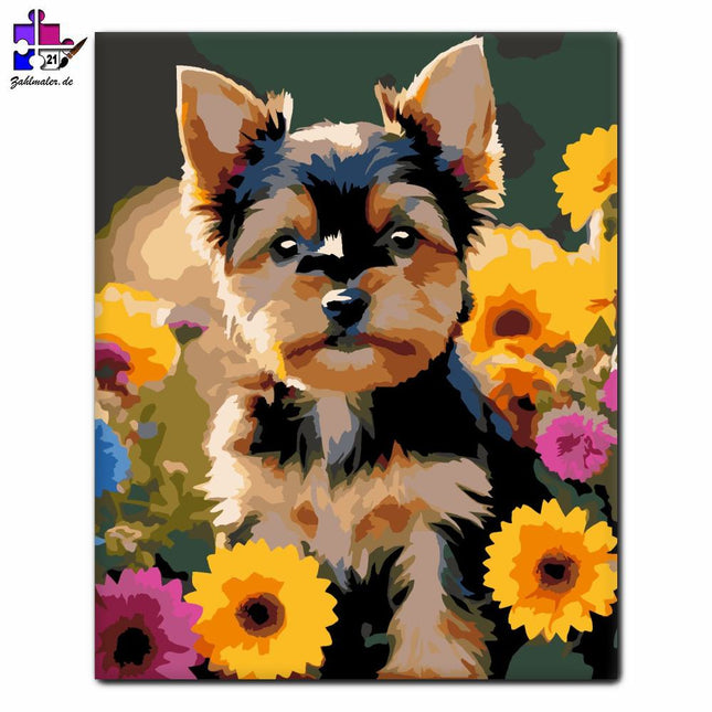 Yorkshire Terrier Welpe zwischen Blumen | Malen nach Zahlen-Zahlmaler.de