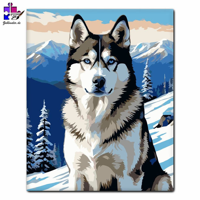 Siberian Husky auf dem Berggipfel | Malen nach Zahlen-Zahlmaler.de