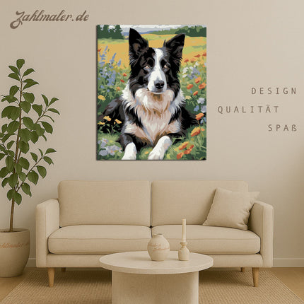 Border Collie im Wildblumenfeld | Malen nach Zahlen-Zahlmaler.de