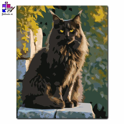 Schwarze Maine Coon Steinmauer | Malen nach Zahlen-Zahlmaler.de