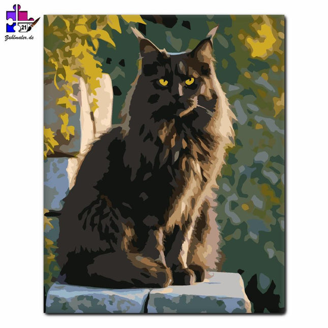 Schwarze Maine Coon Steinmauer | Malen nach Zahlen-Zahlmaler.de