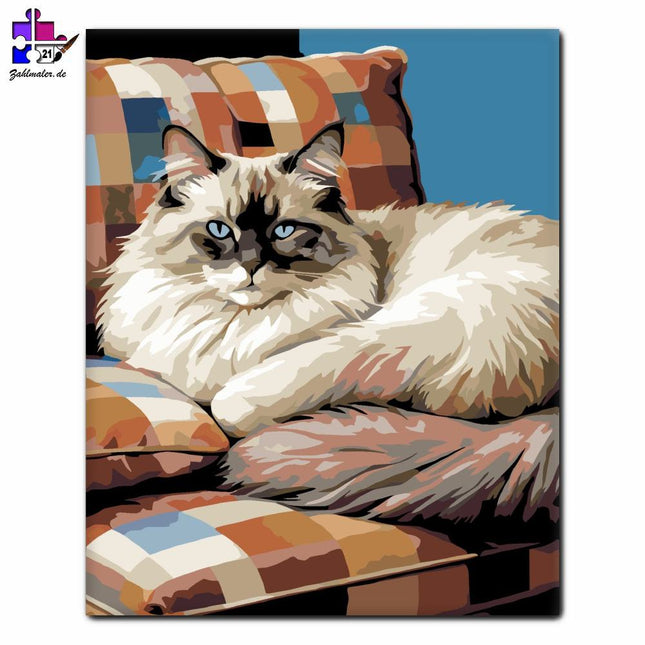 Schlafende Ragdoll-Katze | Malen nach Zahlen-Zahlmaler.de