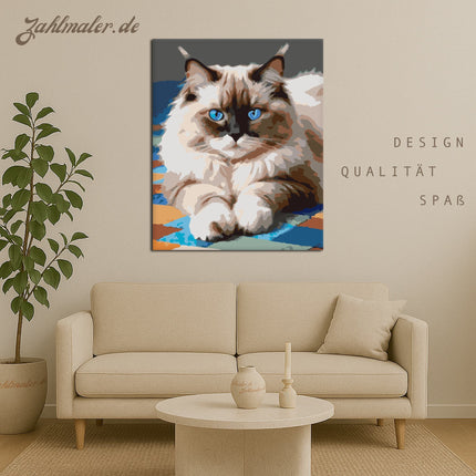 Ragdoll-Katze mit blauen Augen | Malen nach Zahlen-Zahlmaler.de