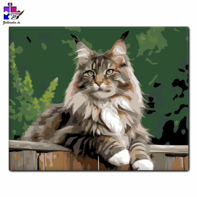 Stolze Maine Coon auf dem Zaun | Malen nach Zahlen-Zahlmaler.de